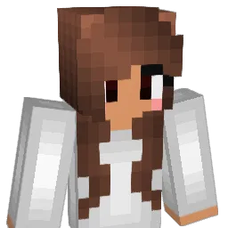 ItsNoSkill Minecraft avatar bust