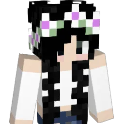 Its_Anti_A_ Minecraft avatar bust