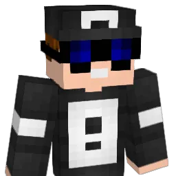 Its_Flipper