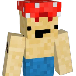ItzCool Minecraft avatar bust