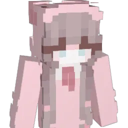 ItzShad1511 Minecraft avatar bust