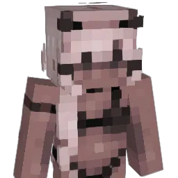 IvyZz03 Minecraft avatar bust