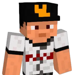 Iw4 Minecraft avatar bust