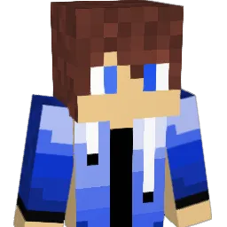 J0n4s_20 Minecraft avatar bust