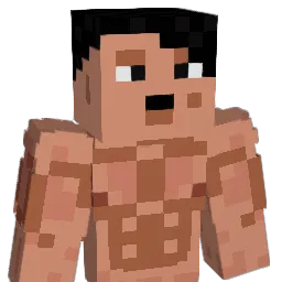 J1ERZz Minecraft avatar bust