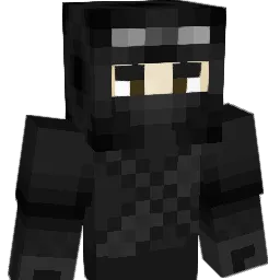 J4G9 Minecraft avatar bust