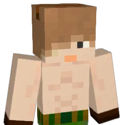 JACKorJAPAN Minecraft avatar bust