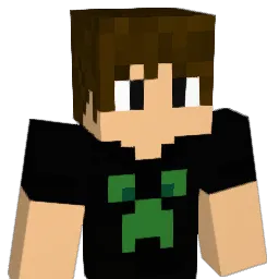 JANMAN_ Minecraft avatar bust