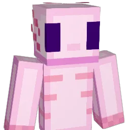 JAVA_VINTE