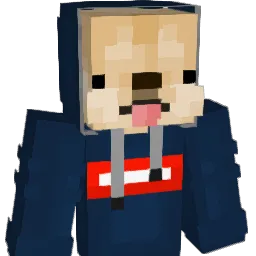 JB4PACKERS Minecraft avatar bust