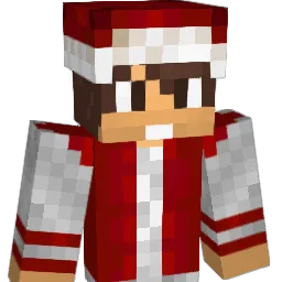 JD1099 Minecraft avatar bust