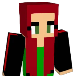 JD617 Minecraft avatar bust