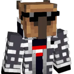 JD91011 Minecraft avatar bust