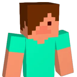 JDHB12 Minecraft avatar bust