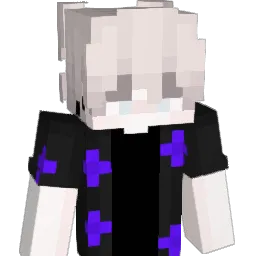 JDJD Minecraft avatar bust