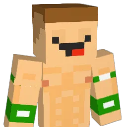 JENECNAGITREKT Minecraft avatar bust