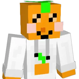 JET1370 Minecraft avatar bust