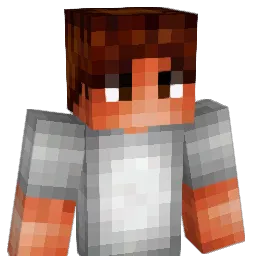 JFIF Minecraft avatar bust