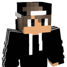 JGerits04 Minecraft avatar bust