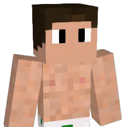 JHK2012 Minecraft avatar bust