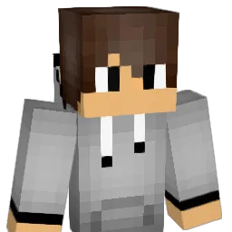 JIFO_ Minecraft avatar bust