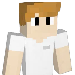 JINI7022 Minecraft avatar bust