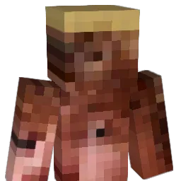 JJC2111 Minecraft avatar bust