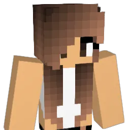 JJC_0 Minecraft avatar bust