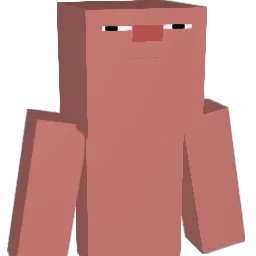 JM_1907 Minecraft avatar bust
