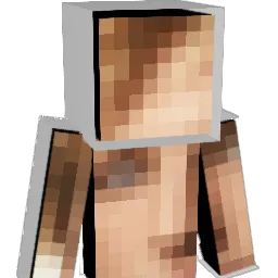 JNATION300 Minecraft avatar bust