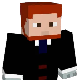 JNSMNE Minecraft avatar bust