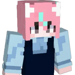 JOP_1116 Minecraft avatar bust