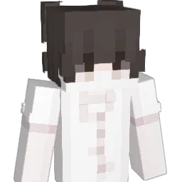 JP6S Minecraft avatar bust