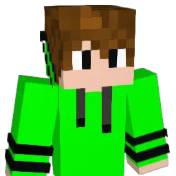 JP__19 Minecraft avatar bust