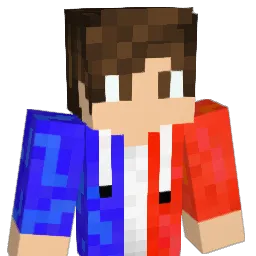 JPedroM Minecraft avatar bust