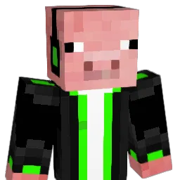JR__Pig's Minecraft skin