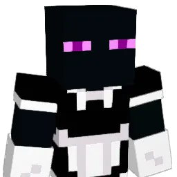 JS8785 Minecraft avatar bust