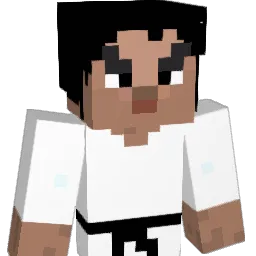 JUNsan815 Minecraft avatar bust