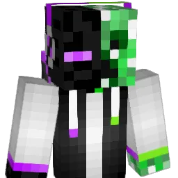 JWgeis Minecraft avatar bust