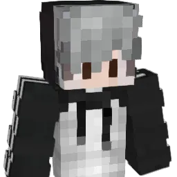 JXSG_UP Minecraft avatar bust