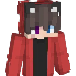 JY989 Minecraft avatar bust