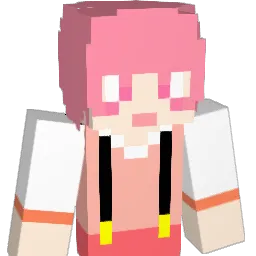 J_1_00 Minecraft avatar bust