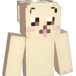 J_89 Minecraft avatar bust
