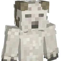Jaaaaaakoooooob Minecraft avatar bust