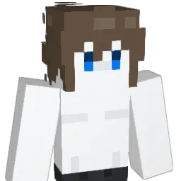 Jaemini8 Minecraft avatar bust