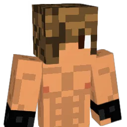 Jakee998 Minecraft avatar bust