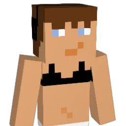 Jakeup0 Minecraft avatar bust