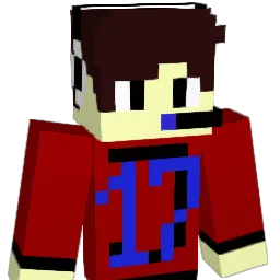 Jaku17 Minecraft avatar bust