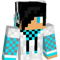 James1234Skywalk Minecraft avatar bust