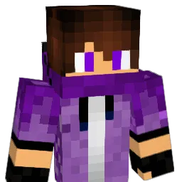 James_314 Minecraft avatar bust